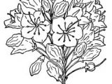 Drawings Of Mountain Flowers 88 Best Mountain Laurel Images Laurel Flower Laurel Tattoo