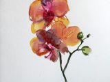 Drawings Of orchid Flower orchid Watercolor Set Of 3 original Illustration Floral Painting