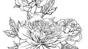 Drawings Of Peonies Flowers Peonies Drawing Google Search Flowers Pinterest Tattoos