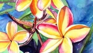 Drawings Of Plumeria Flower Plumeria Watercolor Tropical Flowers Frangipani Art Kauai Fine