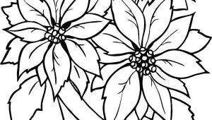 Drawings Of Poinsettia Flower Charming Poinsettia Flower In Flowerpot Coloring Page Fun Coloring