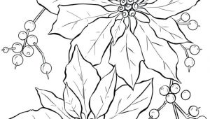 Drawings Of Poinsettia Flowers Poinsettia Line Art Christmas Card Ideas Christmas Coloring