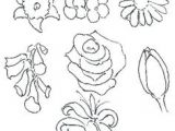 Drawings Of Real Flowers 100 Best How to Draw Tutorials Flowers Images Drawing Techniques