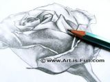 Drawings Of Realistic Roses Drawing Lessons Easy Step by Step Drawing Tutorials Teach You How
