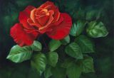Drawings Of Red Flowers Red Roses Paintings Google Search Red Roses Pinterest