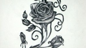 Drawings Of Roses and Vines Vine and Roses by Vaikin On Deviantart Gustos Rose Tattoos