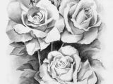 Drawings Of Roses Black and White 61 Best Art Pencil Drawings Of Flowers Images Pencil Drawings