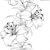 Drawings Of Roses to Print 215 Best Flower Sketch Images Images Flower Designs Drawing S
