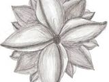 Drawings Of Roses to Print 61 Best Art Pencil Drawings Of Flowers Images Pencil Drawings