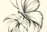 Drawings Of Roses with butterflies butterfly Pencil Drawing if It Were A Dragonfly It Would Be Perfect