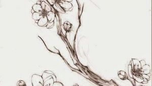 Drawings Of Sakura Flowers 100 Tatuajes De La Flor Del Cerezo O Sakura Dibujos 3 Pinterest