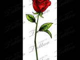 Drawings Of Single Roses Sbink Single Red Rose Tattoo Ideas Tattoos Rose Tattoos Single