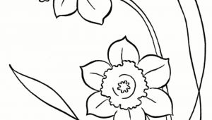 Drawings Of Spring Flowers Line Drawings Of Snowdrops Google Search Flower Outlines