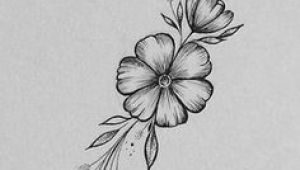 Drawings Of Tiny Roses Wild Flower Wednesdays Rho In 2019 Drawings Art Art Drawings