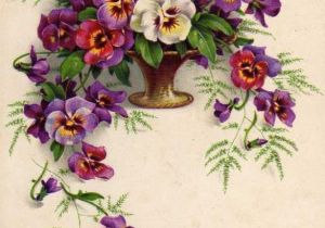Drawings Of Vintage Flowers Vintage Card Drawings and Graphics Blumen Blumen Bilder