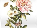 Drawings Of Vintage Flowers Watercolor Vintage Floral Motifs Poster by Anna Yudina Products