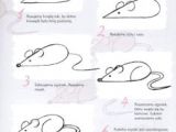 Easy 5 Year Old Drawings 56 Best Stey by Step Drawing Tutorials for Kids Images