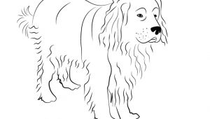 Easy Drawing for Dogs Easy to Draw Dogs Step by Step Learn How to Draw A Newfoundland Dog