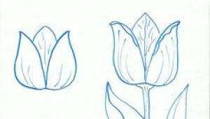 Easy Drawing for Grade 5 361 Best Drawing Flowers Images Drawings Drawing Techniques