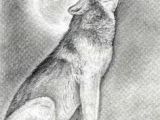 Easy Drawing Jackal 89 Best Doodles and Sketches Images Pencil Drawings Drawing Ideas