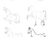 Easy Drawing Jackal How to Draw A Horse Painting Drawings Horse Drawings Art Drawings