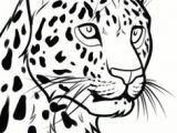 Easy Drawing Jungle 12 Best Rainforest Images Animal Drawings Coloring Books