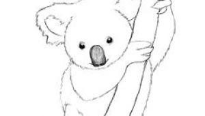 Easy Drawing Koala 174 Best Draw This Images Doodles Simple Drawings Drawings
