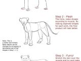 Easy Drawing Nurse Lion Anatomy Tutorial by It Ktdf Deviantart Com On Deviantart