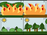Easy Drawing Of Ecosystem Secondary Succession Wikipedia
