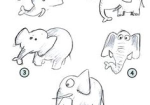 Easy Drawing Zoo 53 Best How to Draw Zoo Animals Images Step by Step Drawing Easy