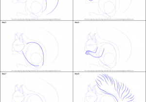 Easy Drawing Zoo Pin by Maria Jackson On Drawing Tutorials Pinterest Drawings