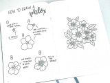 Easy Drawings and Colouring Nice Easy Flower Drawings Easy to Draw Link Colouring Family C3 82