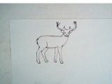 Easy Drawings Deer How to Draw A Buck Deer Simple Drawing Lesson Deer Drawings