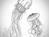 Easy Drawings Jellyfish 53 Best Jellyfish Drawing Images Marine Life Ocean Creatures