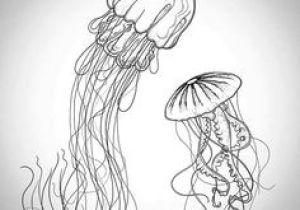 Easy Drawings Jellyfish 53 Best Jellyfish Drawing Images Marine Life Ocean Creatures