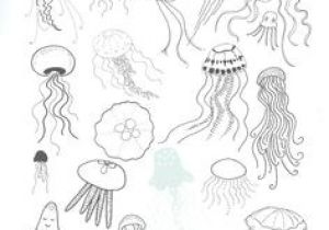 Easy Drawings Jellyfish 75 Best Tattoo Images In 2019 Easy Drawings Doodles Simple Drawings