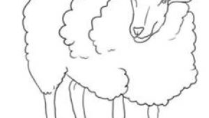 Easy Drawings Lamb 82 Best Lambs Sheep Images Sheep Drawing S Drawings