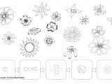 Easy Drawings Of Flowers In Pencil Step by Step Easy Designs to Draw Step by Step How to Draw Flowers Step by Step