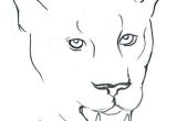 Easy Drawings Of Jaguars How to Draw A Jaguar Easy Step by Step Prslide Com