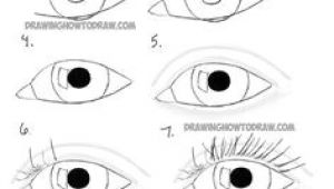 Easy Drawings Of Lion Eyes 156 Best Easy Drawings Sketches Images In 2019 Draw Drawings