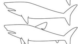 Easy Drawings Shark 1533 Best Draw Easy Images Sketches Easy Drawings Simple Drawings