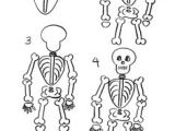 Easy How to Draw A Skeleton 3731 Best Cartooning Images In 2020 Drawings Easy