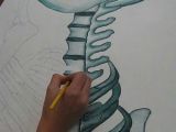 Easy How to Draw A Skeleton Pin On Middle School Art Lessons