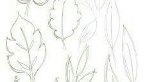 Easy Leaf Drawing Leaves In 2020 Floral Drawing Leaf Drawing Plant Drawing