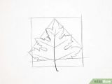 Easy Maple Leaf Drawing How to Draw A Maple Leaf 10 Steps with Pictures Wikihow