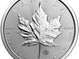 Easy Maple Leaf Drawing Masterbox Maple Leaf 1 Oz Silber 500 Stk Silver Coins 1 Ounce 2018 Monsterbox