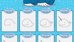 Easy Narwhal Drawing Learn How to Draw A Simple and Cute Narwhal Step by Step