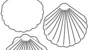 Easy Shell Drawing How to Draw Coral Learn How to Draw A Shell with Simple