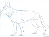 Easy Step How to Draw A Dog How to Draw A German Shepherd Dog Step by Step Drawing