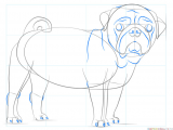 Easy Step How to Draw A Dog How to Draw A Pug Dog Step by Step Drawing Tutorials for